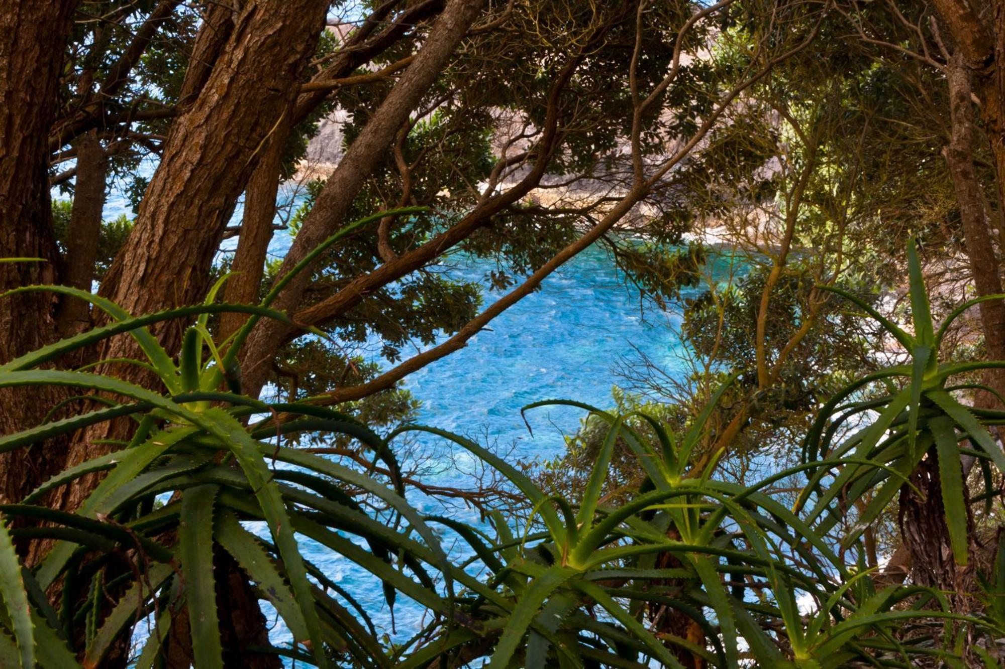 Aldeia Da Fonte Hotel Lajes do Pico Zewnętrze zdjęcie